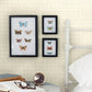 Button Block Taupe Geometric Wallpaper