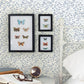Tarragon Blue Dainty Meadow Wallpaper