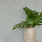 Homespun Denim Textured Wallpaper
