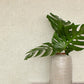 Homespun Dove Textured Wallpaper