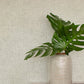 Homespun Grey Textured Wallpaper