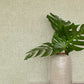 Homespun Green Textured Wallpaper