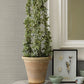 Spinnaker Charcoal Netting Wallpaper