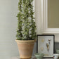 Spinnaker Seafoam Netting Wallpaper