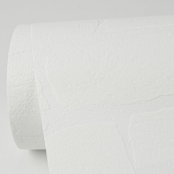 Pieter White Stone Paintable Wallpaper