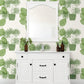 Aida Green Potted Plant Wallpaper