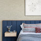 Trippet Light Brown Zen Waves Wallpaper