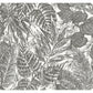 Brentwood Black Palm Leaves Wallpaper