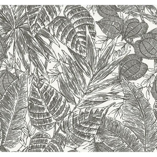 Brentwood Black Palm Leaves Wallpaper
