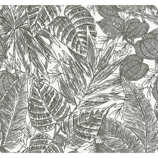 Brentwood Black Palm Leaves Wallpaper