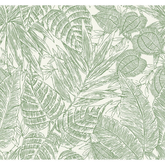 Brentwood Green Palm Leaves Wallpaper