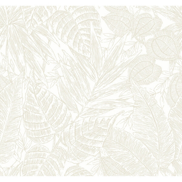 Brentwood Bone Palm Leaves Wallpaper