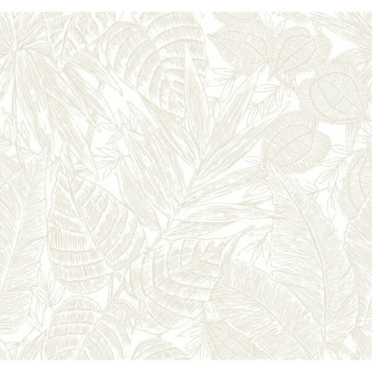 Brentwood Bone Palm Leaves Wallpaper