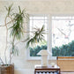 Trousdale Neutral Fanning Flora Wallpaper