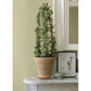 Aida Light Yellow Horizontal Silk Wallpaper