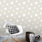 Amira Taupe Stars Wallpaper