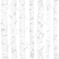 Birdie Grey Birch Wallpaper