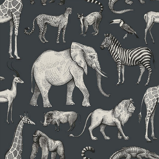 Kenji Navy Safari Wallpaper