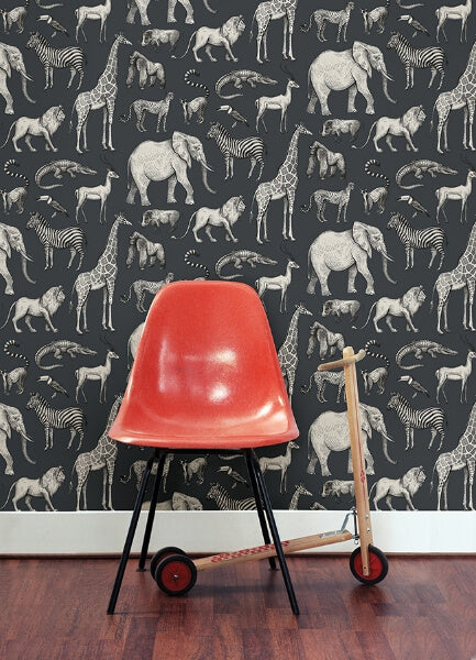 Kenji Navy Safari Wallpaper