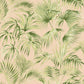 Manaus Peach Palm Frond Wallpaper