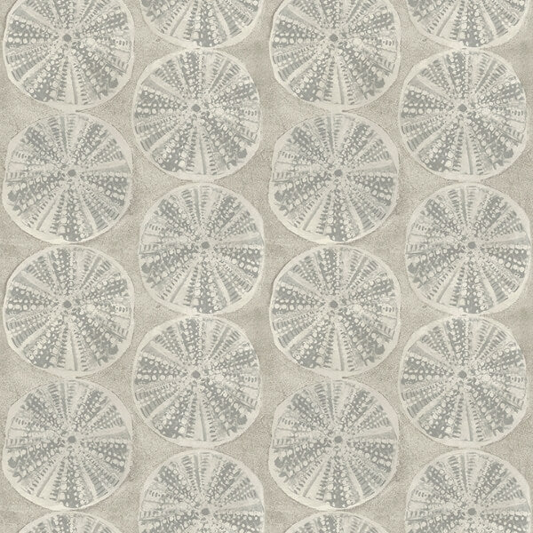 Sea Biscuit Grey Sand Dollar Wallpaper