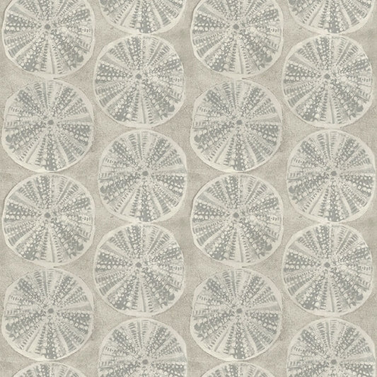 Sea Biscuit Grey Sand Dollar Wallpaper