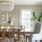 Sea Biscuit Grey Sand Dollar Wallpaper