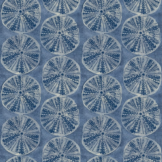 Sea Biscuit Blue Sand Dollar Wallpaper