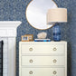 Sea Biscuit Blue Sand Dollar Wallpaper