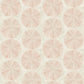 Sea Biscuit Peach Sand Dollar Wallpaper