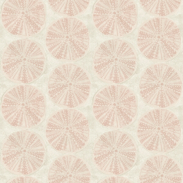 Sea Biscuit Peach Sand Dollar Wallpaper