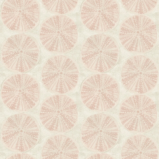 Sea Biscuit Peach Sand Dollar Wallpaper