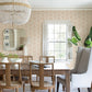 Sea Biscuit Peach Sand Dollar Wallpaper