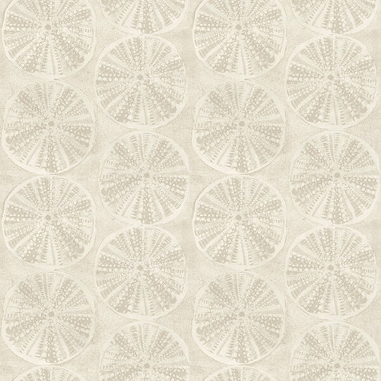 Sea Biscuit Beige Sand Dollar Wallpaper