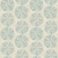 Sea Biscuit Aqua Sand Dollar Wallpaper