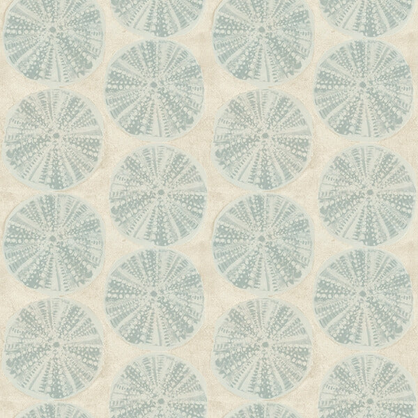 Sea Biscuit Aqua Sand Dollar Wallpaper