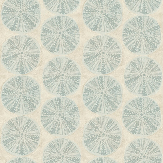 Sea Biscuit Aqua Sand Dollar Wallpaper