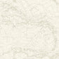 Charts Taupe Nautical Chart Wallpaper