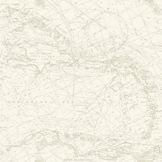 Charts Taupe Nautical Chart Wallpaper