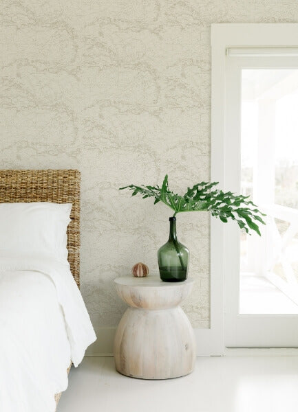 Charts Taupe Nautical Chart Wallpaper