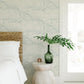 Charts Aqua Nautical Chart Wallpaper