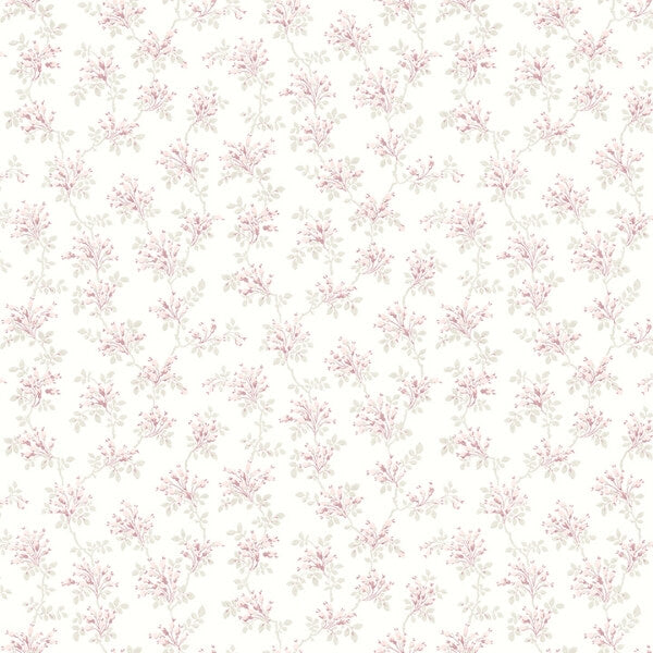 Sofiane Pink Botanical Trail Wallpaper