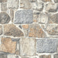 Axelle Rust Stone Wallpaper