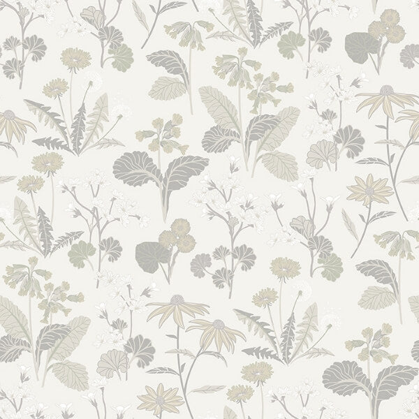Magdalena Light Grey Dandelion Wallpaper