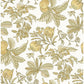 Cecilia Honey Fruit Wallpaper