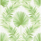 Calla Green Painted Palm Wallpaper