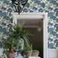 Medellin Blue Rainforest Floor Wallpaper