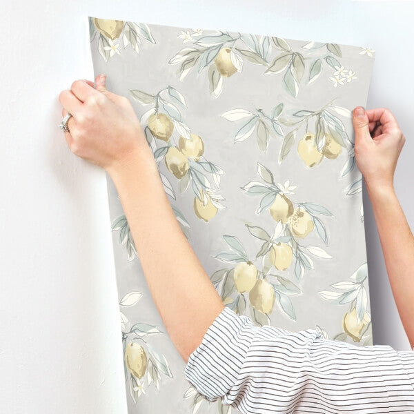 Lemonade Grey Citrus Wallpaper