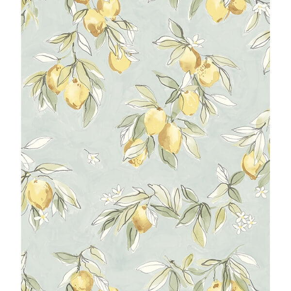 Lemonade Aqua Citrus Wallpaper