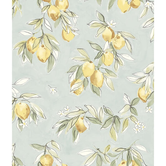 Lemonade Aqua Citrus Wallpaper
